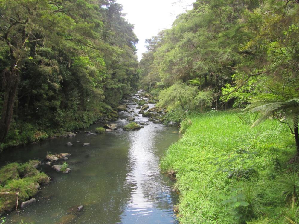 Hatea River along the trail